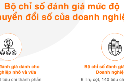 Bộ chỉ số đánh giá mức độ Ok365cc số của doanh nghiệp